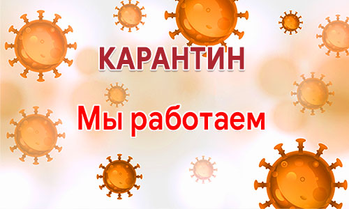 График работы на период карантина